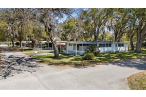 4550 OLIVE DRIVE, ZEPHYRHILLS, FL 33542 - MLS#MFRTB8490652