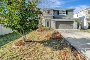 8406 CHERRY BRANCH DRIVE, RUSKIN, FL 33573 - MLS#MFRTB8490675