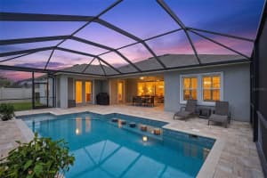 21804 BRISKE MORNING AVENUE, LAND O LAKES, FL 34637 - MLS#MFRTB8490701