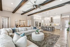 21804 BRISKE MORNING AVENUE, LAND O LAKES, FL 34637 - MLS#MFRTB8490701