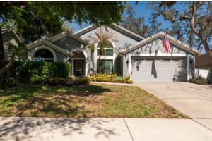 4605 OAK RIVER, VALRICO, FL 33596 - MLS#MFRTB8490703