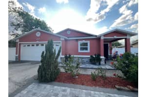 10804 N Myrtle St, TAMPA