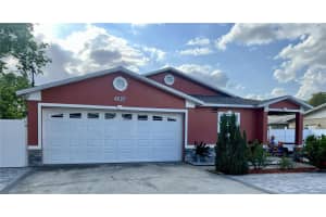 10804 MYRTLE STREET, TAMPA, FL 33617 - MLS#MFRTB8490732