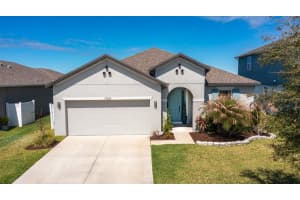 11924 BAHIA VALLEY DRIVE, RIVERVIEW, FL 33579 - MLS#MFRTB8490742