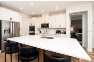 11924 BAHIA VALLEY DRIVE, RIVERVIEW, FL 33579 - MLS#MFRTB8490742