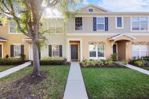 12351 Foxmoor Peak Dr, RIVERVIEW