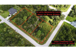 18464, 18472, 18482 LANSFORD AVENUE, PORT CHARLOTTE, FL 33954 - MLS#MFRTB8490753