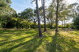 1647 HOBBIT ROAD, DUNEDIN, FL 34698 - MLS#MFRTB8490765