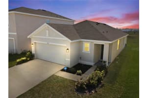 6250 Wandering Willow Dr, WESLEY CHAPEL