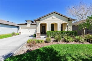 7966 OLIVE BROOK DRIVE, WESLEY CHAPEL, FL 33545 - MLS#MFRTB8490871