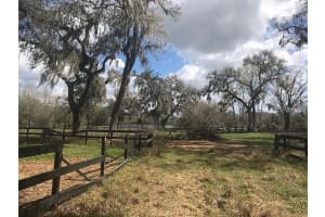 000 PALOMINO LAKES DR, DADE CITY, FL 33523 - MLS#MFRTB8490885