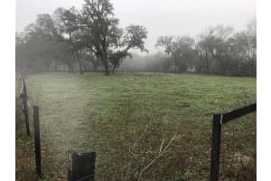 000 PALOMINO LAKES DR, DADE CITY, FL 33523 - MLS#MFRTB8490885