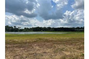 000 PALOMINO LAKES DR, DADE CITY, FL 33523 - MLS#MFRTB8490885