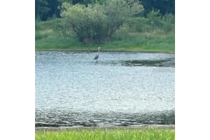 000 PALOMINO LAKES DR, DADE CITY, FL 33523 - MLS#MFRTB8490885