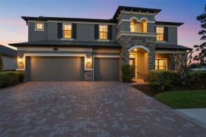 1897 Fox Grape Loop, LUTZ