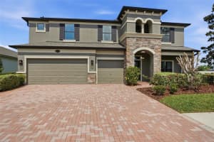 1897 FOX GRAPE LOOP, LUTZ, FL 33558 - MLS#MFRTB8490895