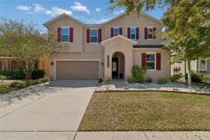 10517 MASSIMO DRIVE, WIMAUMA, FL 33598 - MLS#MFRTB8490901