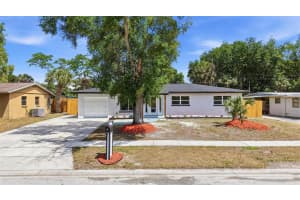 1212 JULIAN LANE DRIVE, TAMPA, FL 33619 - MLS#MFRTB8490934