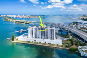 100 PIERCE STREET, CLEARWATER, FL 33756 - MLS#MFRTB8490935