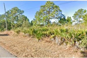 1019 WAGNER AVENUE, LEHIGH ACRES, FL 33972 - MLS#MFRTB8490962