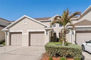 3661 COUNTRY POINTE PLACE, PALM HARBOR, FL 34684 - MLS#MFRTB8490978
