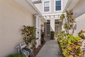 3661 COUNTRY POINTE PLACE, PALM HARBOR, FL 34684 - MLS#MFRTB8490978