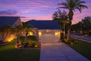 8601 Cottonway Ln, TAMPA