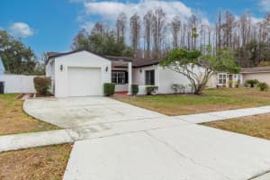 14003 BASIN STREET, TAMPA, FL 33625 - MLS#MFRTB8491014