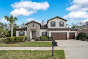 21914 Butterfly Kiss Dr, LAND O LAKES
