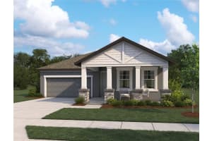 10029 HIDDEN HAMMOCK LOOP, PARRISH, FL 34219 - MLS#MFRTB8491034