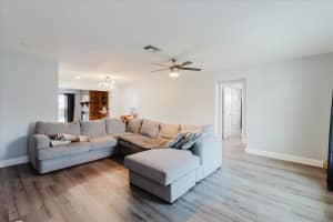 1811 FOREST DRIVE, OLDSMAR, FL 34677 - MLS#MFRTB8491038