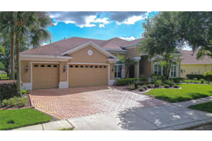 21338 LAKE VIENNA DRIVE DRIVE, LAND O LAKES, FL 34638 - MLS#MFRTB8491068