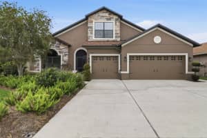 34144 SPRING OAK TRAIL, WESLEY CHAPEL, FL 33545 - MLS#MFRTB8491081