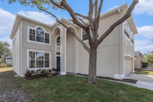 8602 SANDY PLAINS DRIVE, RIVERVIEW, FL 33578 - MLS#MFRTB8491092