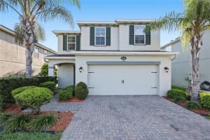 19416 ROSEATE DRIVE, LUTZ, FL 33558 - MLS#MFRTB8491102