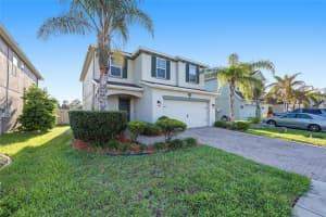 19416 ROSEATE DRIVE, LUTZ, FL 33558 - MLS#MFRTB8491102