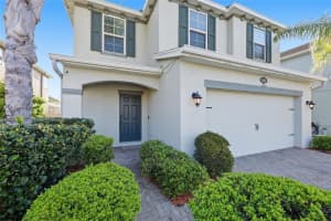 19416 ROSEATE DRIVE, LUTZ, FL 33558 - MLS#MFRTB8491102