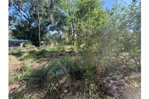 9300 TEAK STREET, NEW PORT RICHEY, FL 34654 - MLS#MFRTB8491136