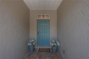 933 MOSCATO PLACE, PALM HARBOR, FL 34683 - MLS#MFRTB8491163