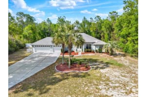 1155 BLUEBIRD COURT, HERNANDO, FL 34442 - MLS#MFRTB8491203