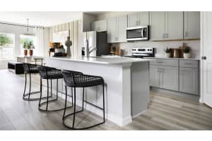 3915 ALTITUDE RUN, DAVENPORT, FL 33837 - MLS#MFRTB8491209