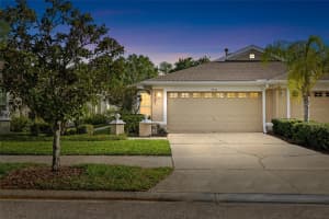 9838 BRIDGETON DRIVE, TAMPA, FL 33626 - MLS#MFRTB8491227