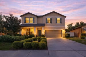 647 ALPINE THISTLE DRIVE, BROOKSVILLE, FL 34604 - MLS#MFRTB8491250