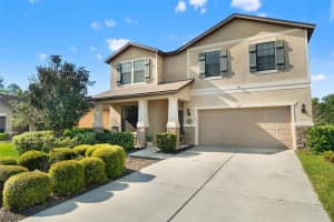 647 ALPINE THISTLE DRIVE, BROOKSVILLE, FL 34604 - MLS#MFRTB8491250