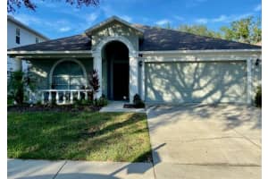 10121 Coldwater Loop, LAND O LAKES