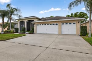 3819 SALIDA DELSOL DRIVE, RUSKIN, FL 33573 - MLS#MFRTB8491274