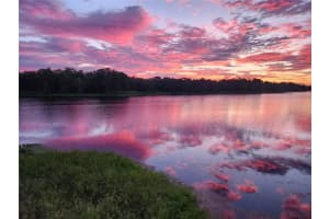 3401 E Sligh Ave, TAMPA