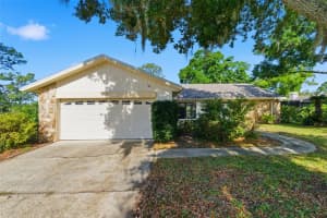 3506 FAIRWAY FOREST DRIVE, PALM HARBOR, FL 34685 - MLS#MFRTB8491356