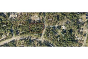 8650 211 CIRCLE, DUNNELLON, FL 34432 - MLS#MFRTB8491373