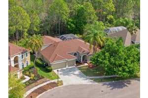 18931 CHAVILLE ROAD, LUTZ, FL 33558 - MLS#MFRTB8491376